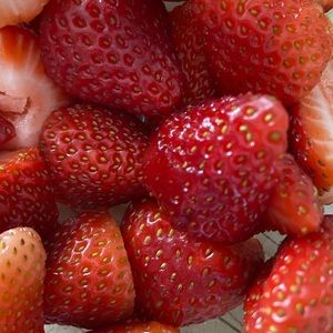 Meet your Posher, Lucy